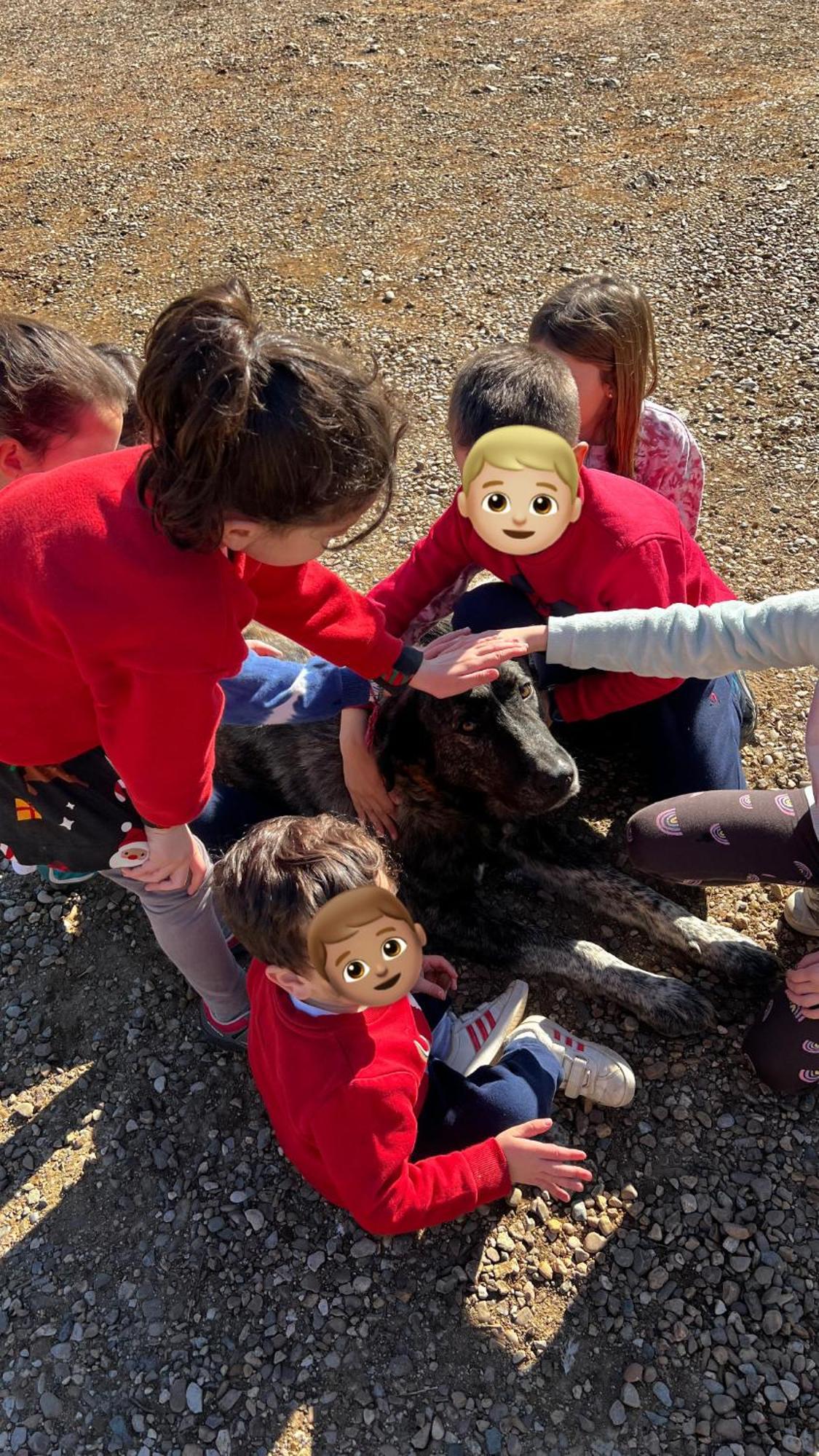 Willa Complejo Rural Mirador De La Alcaidia Hornachuelos Zewnętrze zdjęcie